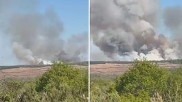 Beykoz’da ormanlık alanda yangın çıktı