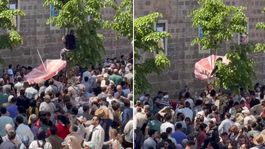 Mesir macunlarını yakalayabilmek için dondurma şemsiyesi açtı