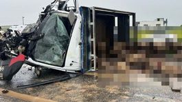 Siirtte feci kaza: 2 ölü, 3 yaralı