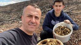 Baba ve oğlunun yüzünü güldüren mantar avı