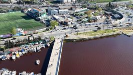 İstanbulun göbeğindeki gölde korkutan görüntü