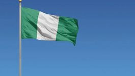 Nijeryada silahlı saldırı: 11 ölü, 2 yaralı