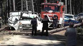 Bursa Uludağda kesilen çam ağacı kamyonetin üzerine devrildi: 1 ölü, 2 yaralı