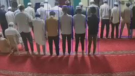 Hindistanda camiye giren yılan paniğe neden oldu