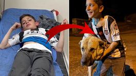 Köyün kahramanı! Kral, bu kez 10 yaşındaki Sencarı kurtardı