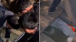Görüntü Türkiyeden! Mezarlıkta bir garip olay: Cenazeyi gömüldüğü yerden çıkardılar