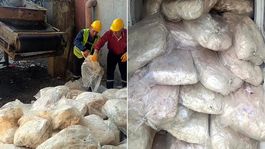 Tam 1 ton 200 kilo! Ekipler hemen el koydu