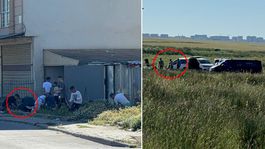 Esenyurtta kaçak kurban kesenlere ceza