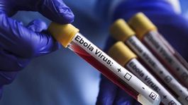 KKTCde Ebola için tedbirler alındı