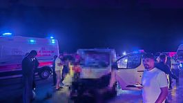 Bingölde minibüs ata çarptı: 1 ölü, 2 yaralı
