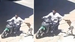 Gaziantepte kızını darbedip sürükleyen babanın 12 suç kaydı çıktı