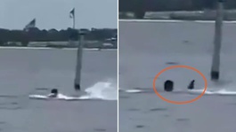 Donanma personeli öğle arasında denize girdi, köpekbalığının saldırısına uğradı