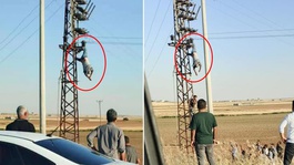 Direkte can pazarı! Akıma kapılıp baş aşağı asılı kaldı
