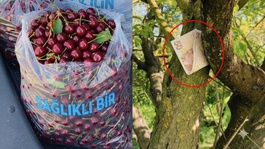 Tartışma yaratan fotoğrafla ilgili gerçek ortaya çıktı