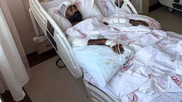 Bingöl’de yavrularını koruyan anne ayı dehşet saçtı: Diş ve pençe darbelerinden kollarıyla korundu