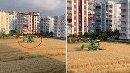 Apartmanların gölgesinde hasat! Arazisini isteyen müteahhitlere tek cümlelik yanıt veriyor
