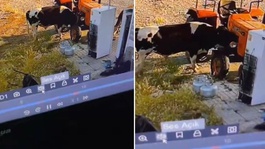 Yer: Konya! Görüntüsü olmasa kimsenin inanmayacağı bir olay daha