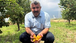 Mühendis tavsiyesiyle başladı, şimdi paraya para demiyor: Yurt dışından büyük talep var