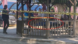 Otoparkta korkunç sabah! Kamelyada ölü bulundu