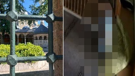 Tarihi camide ilişki rezaleti: Fantezi olsun diye yaptık