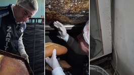 Fırındaki manzara mide bulandırdı! Zabıta müdürü görünce isyan etti