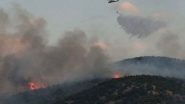 Malatyada Orman Yangınına Müdahale