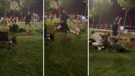 Pikniğe gidip dayak yediler: Yumruklar, sopalar havada uçuştu!