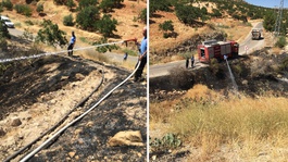 Nizipte fıstık tarlası yangını: Bir kişi ölü bulundu