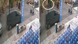 Kediyi yerden alıp fırlattı, görüntülere tepki yağdı
