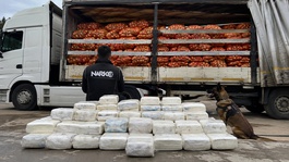 Haymanada soğan yüklü tırda 150 kilo metamfetamin bulundu