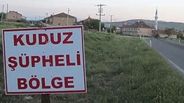 Ardahanda kuduz vakası nedeniyle bir bölge karantinaya alındı