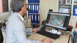 İstanbulda akrep alarmı! Uzmanlardan kritik uyarılar var