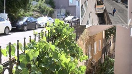 Mimari harikası! Bu binayı gören bir daha bakıyor 