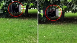 Maltepe Sahili’nde pes dedirten görüntü: Sahil ortasında sırt tıraşı