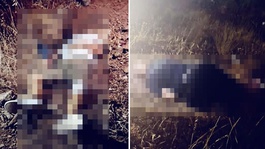 Gaziantepte dağlık alanda silahlı kavga: 2 ölü, 3 yaralı