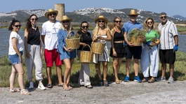 Bodrum’da deniz börülcesi hasadı sofraya taşındı