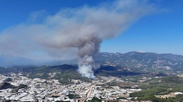 Kumlucadaki orman yangınında zeytin bahçesi sahibi tutuklandı