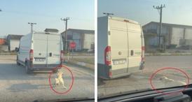 Minibüsün Arkasına İple Bağlanan Köpek, Kameraya Yakalandı