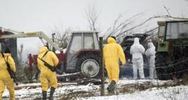 Almanya’da 35 yıl sonra şap vakası görüldü