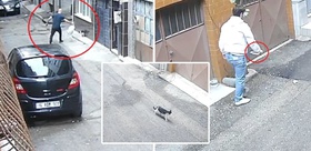 Kedilerin mamalarını çöpe attılar Baba ile oğlunun vicdanları yaralayan hareketi kamerada
