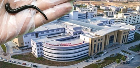 Boğaz ağrısıyla acile giden hastada şaşırtan teşhis: Ses tellerinin arkasında canlı sülük