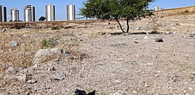 Boş arazide sır ölüm 35 yaşında erkek cesedi bulundu
