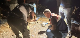 Hayvan otlatan çoban ormanda kafatası buldu Gazipaşa’da adli tahkikat başladı