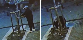 Vitrin görünmüyor diye ağacı kesti Her şey saniye saniye kaydedildi