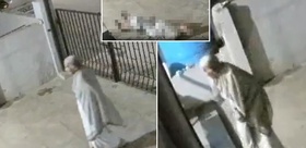 Maymun saldırısına uğrayan 91 yaşındaki kadın hayatını kaybetti