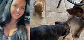 ABD’de iki çocuk annesi kadın, eşi tarafından köpeğiyle ilişkiye girerken yakalandı