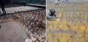 İmran Han’ın destekçilerine dikenli barikat
