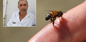Çorum’da arı sokması can aldı Doktorların müdahalesi yetmedi