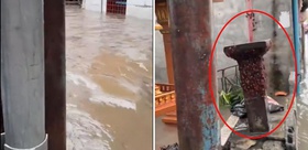 Tayland’da kabus görüntüleri: Sel suları binlerce hamam böceğini sokağa döktü
