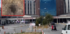 Kars’ta bebek vahşeti Ağzından peçete çıktı, anne ile anneanne tutuklandı